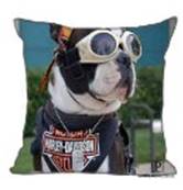 COUSSIN ( housse seule ) 40cm x 40cm CHIEN HD