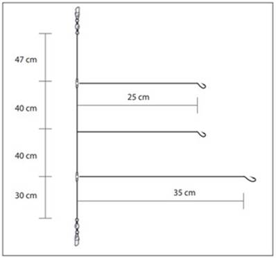 Bas de ligne surf triple ham 1/0