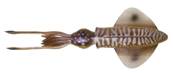 Leurre Savage Gears 3D SWIM SQUID 18cm 32gr SINKING CUTTLEF