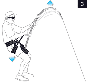 Gimbal-and-Harness-Instructions3