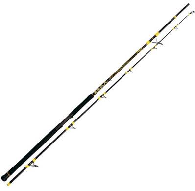 Canne XCAT spinning 2.70m 20/200gr FINI-45%