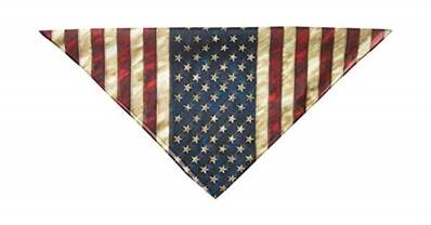 Bandana Foulard Biker    Drapeau US    