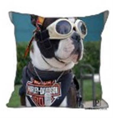 COUSSIN ( housse seule ) 40cm x 40cm CHIEN HD FINI -45%